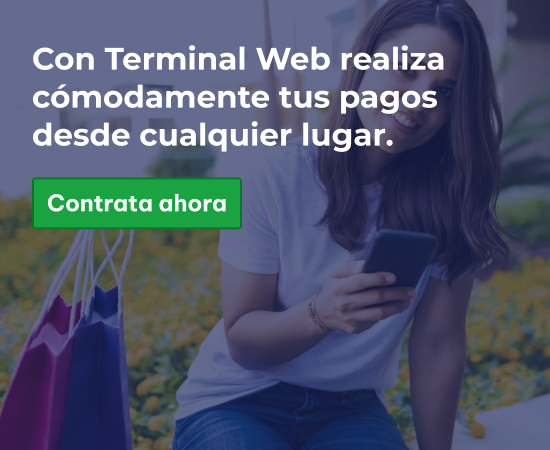 Terminal Web